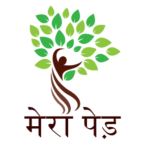 merapedh