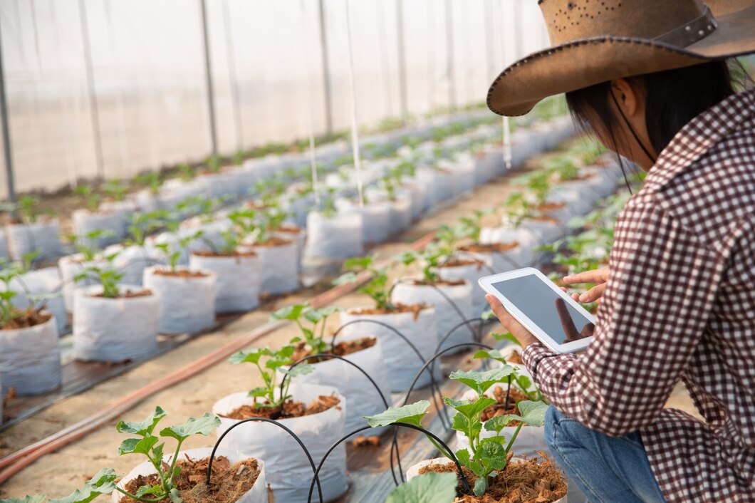 Plantation Management